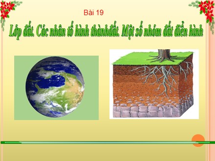 Bài giảng Stem Địa lí Lớp 6 (Sách Chân trời sáng tạo) - Bài 19: Lớp đất. Các nhân tố hình thành đất. Một số nhóm đất điển hình