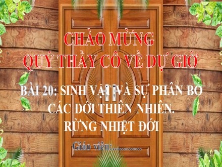 Bài giảng Stem Địa lí Lớp 6 (Sách Chân trời sáng tạo) - Bài 20: Sinh vật và sự phân bố các đới thiên nhiên. Rừng nhiệt đới