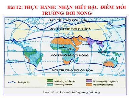 Bài giảng Stem Địa lí Lớp 7 - Bài 12: Thực hành nhận biết đặc điểm môi trường đới nóng