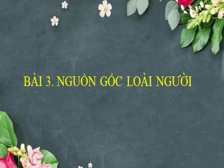 Bài giảng Stem Lịch sử Lớp 6 (Sách Cánh diều) - Bài 3: Nguồn gốc loài người