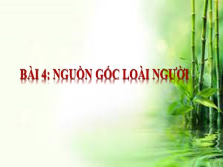 Bài giảng Stem Lịch sử Lớp 6 (Sách Chân trời sáng tạo) - Bài 3: Nguồn gốc loài người