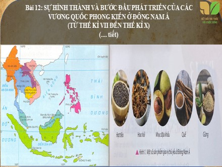 Bài giảng Stem Lịch sử Lớp 6 (Sách Kết nối tri thức với cuộc sống) - Bài 12: Sự hình thành và bước đầu phát triển của các vương quốc phong kiến ở Đông Nam Á (Từ thế kỉ VII đến thế kỉ X)