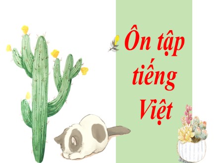 Bài giảng Stem Ngữ văn Lớp 7 - Ôn tập Tiếng Việt - Nguyễn Thị Hạnh