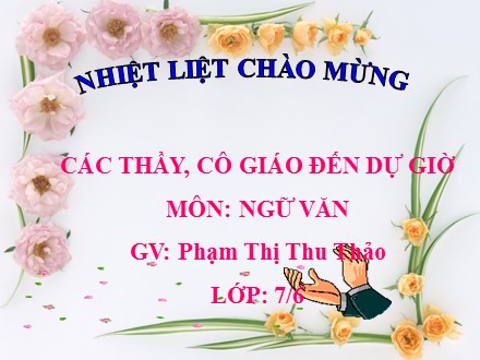 Bài giảng Stem Ngữ văn Lớp 7 - Thành ngữ - Phạm Thị Thu Thảo