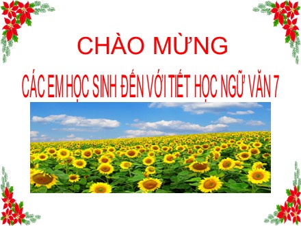 Bài giảng Stem Ngữ văn Lớp 7 - Tiết 88: Thêm trạng ngữ cho câu - Trường THCS Lê Hồng Phong